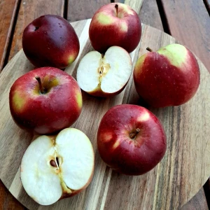 Fresh "Empire" apples - ripe and ready!