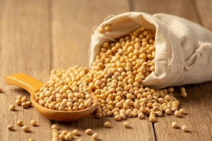 PREMIUM NON - GMO SOYBEANS