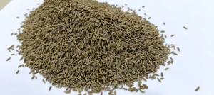 Cumin Seed