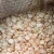 Import Best Quality Non-GMO Dried White Maize Corn Kernels Cleaned and Sorted for Human Consumption Wholesale Supply for Expor from Germany