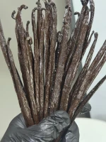 Vanilla Beans Planifolia premium