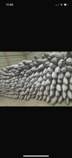 Frozen tuna, mackerel and other marine products