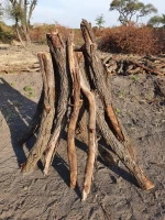High Quality Acacia Firewood