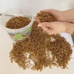 DRIED MEALWORM FOR SALE
