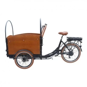Electric Family Cargo Bike4