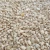 Import Best Quality Non-GMO Dried White Maize Corn Kernels Cleaned and Sorted for Human Consumption Wholesale Supply for Expor from Germany