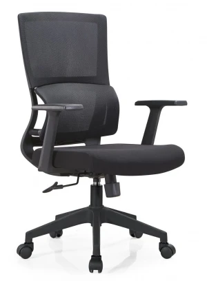 AS-B2056 **Office Task Chair with Special Design of Double Back