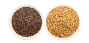 Mustard Seeds