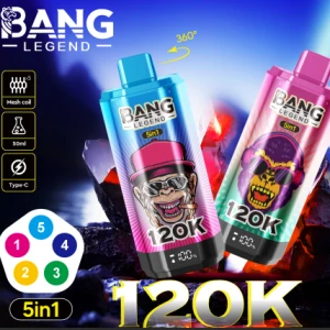 newest aio disposable vapes Buy Wholesale Disposable Vape 120k Puff Mesh Coil Rechargeable E Cigarette  0% 2% 3% 5% Nicotine 5-in-1 Flavors Vaper Pen Oe from PaphosVape, China