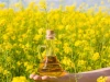 Canola oil
