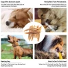 Factory OEM Bulk Pet Food Wholesale Factory dog treats Nutrition Natural Premium Dry Dog Food chicken jerky