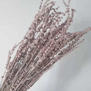 2022 New Hot saller Natural Dried Lavender Flowers For Valentine's Day Gift Wedding Home Decoration
