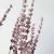 Import 2022 New Hot saller Natural Dried Lavender Flowers For Valentine's Day Gift Wedding Home Decoration from China