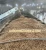 Import Rice Husk Pellets - Biomass Energy from Vietnam