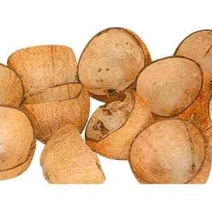Coconuts shells