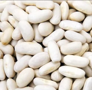 White Kidney Beans Long Shape Big White Kidney Beans