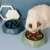 Import Anti-choking Slow Food Bowl Dog Bowl from China
