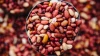 Beans (Kidney beans, black eye beans, sugar beans, pinto beans matpe beans, mung beans)