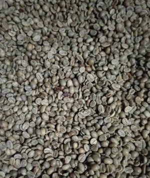 Arabica Natural Coffee Beans