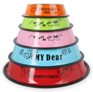 Color spray paint printing stainless steel pet bowl