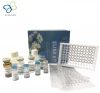 Human Kynurenine/alpha-aminoadipate aminotransferase, mitochondrial, AADAT Elisa Kit(E0003Hu)