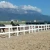 Import Racecourse Fence Stable Fence Board Rails HDPE Board from China
