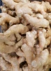 Fresh  Brazilian Ginger High Quality and Flavorful