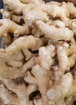Fresh  Brazilian Ginger High Quality and Flavorful