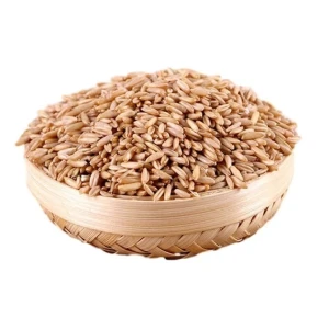 Nutritious Oat Grain for Export with Guaranteed Freshness and Premium Quality