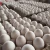 Import FRESH TABLE EGGS - Fresh Chicken Table Eggs/Fresh Chicken from Germany