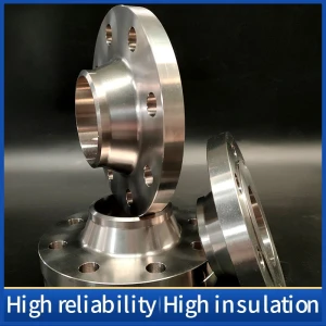 Tiger-Ti Large WN Necked Butt Weld Flange RF-Surface Sealing Surface Support Customization