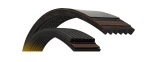 Automotive Drive Belt