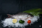 Frozen Rohu Fish
