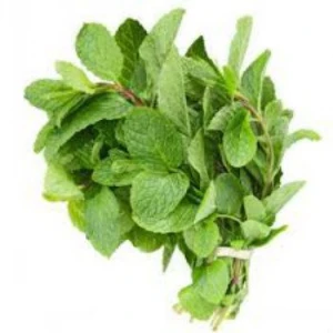Fresh Mint For Chewing Gums