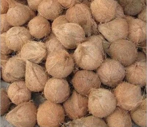 Brown Semi Husked Fresh Coconuts