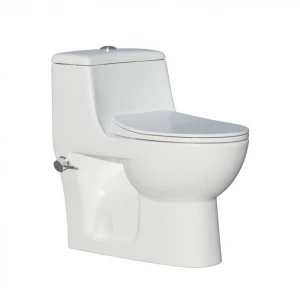 Floor standing one piece Washdown Ceramic WC toilet bowl in white مراحيض