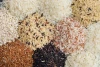 Buy Premium Basmati Rice Wholesale Rice for Exporters and Wholesale Buyers
