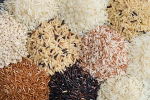 Buy Premium Basmati Rice Wholesale Rice for Exporters and Wholesale Buyers