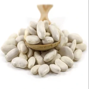 Wholesale High Quality Spanish White Kidney Beans