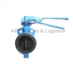 Butterfly Valve IBR and BIS Approved