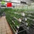 Import Agricultural greenhouse from China