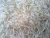 Import Buy Premium Basmati Rice Wholesale Rice for Exporters and Wholesale Buyers from Philippines