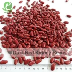 Red Kidney Beans/Black Kidney Beans/Sugar Beans/Vanilla Beans
