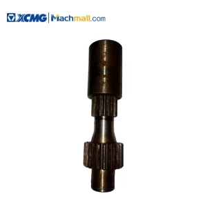 XCMG Road machinery spare parts T.6.1.3A Axis