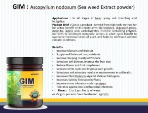GIM Ascopyllum nodosum (Sea weed Extract powder)