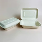 Sugarcane bagasse box