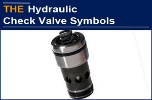 A Small Hydraulic Check Valve Symbol Nearly Killed the Hydraulic Valve Manufacturer