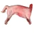 Import Tender Tan Mutton for Gourmet Cooking from China