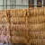 Import Cocofiber for manufacture from Indonesia