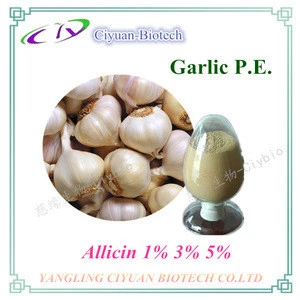 100% pure Allicin powder 1%, Garlic P.E., CAS:539-86-6